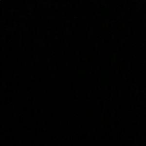 Meet your Posher, Larry